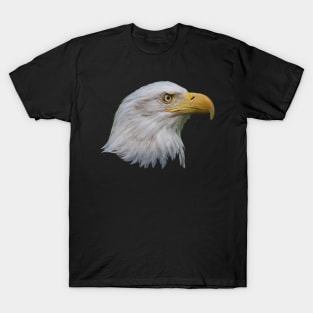 Eagle Eye T-Shirt